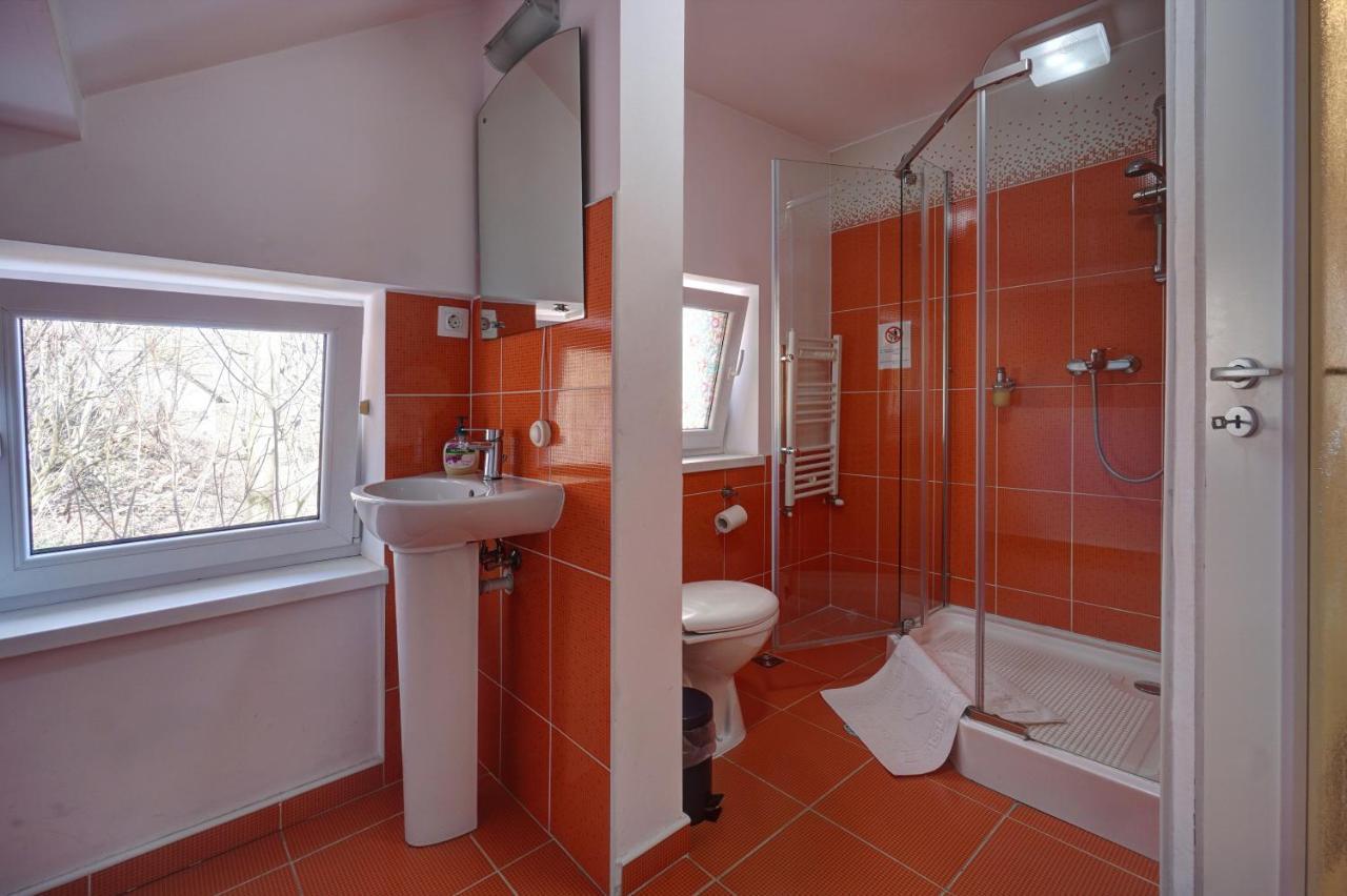 Vila Alba Brasov Braşov Exterior foto